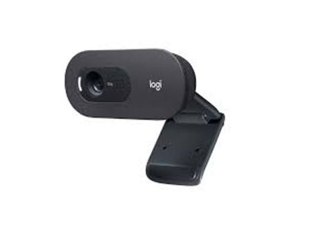 Logitech C505 HD Webcam