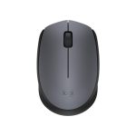 Logitech Wireless Mouse M171